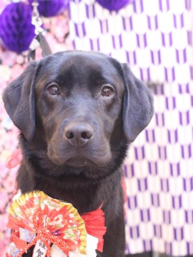 20250114文太くん